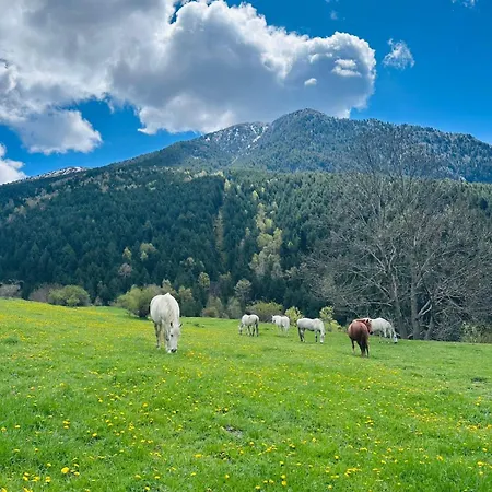 Valls Valira 2*