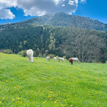 Valls Valira Hotel